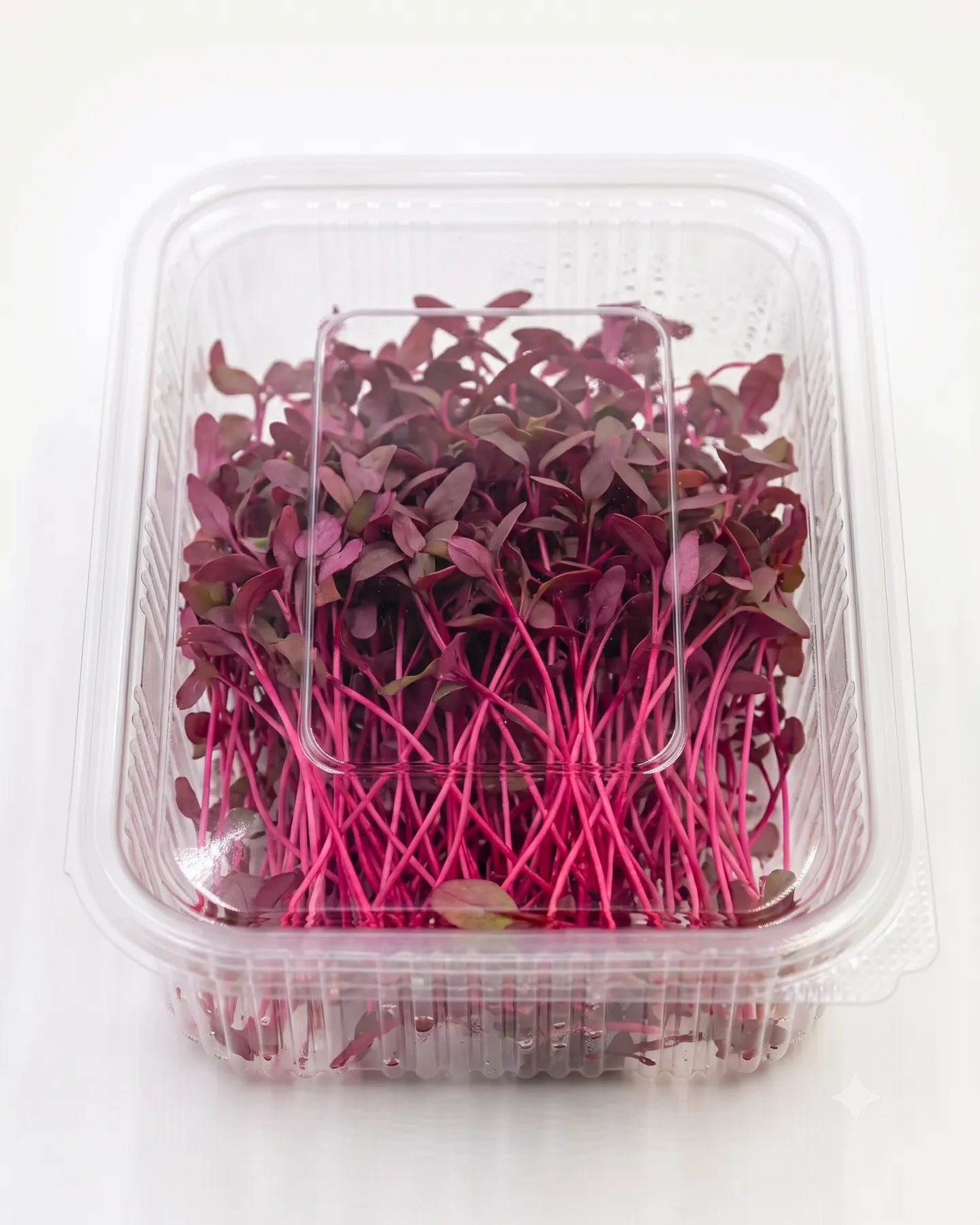 Amaranth Red — view 1