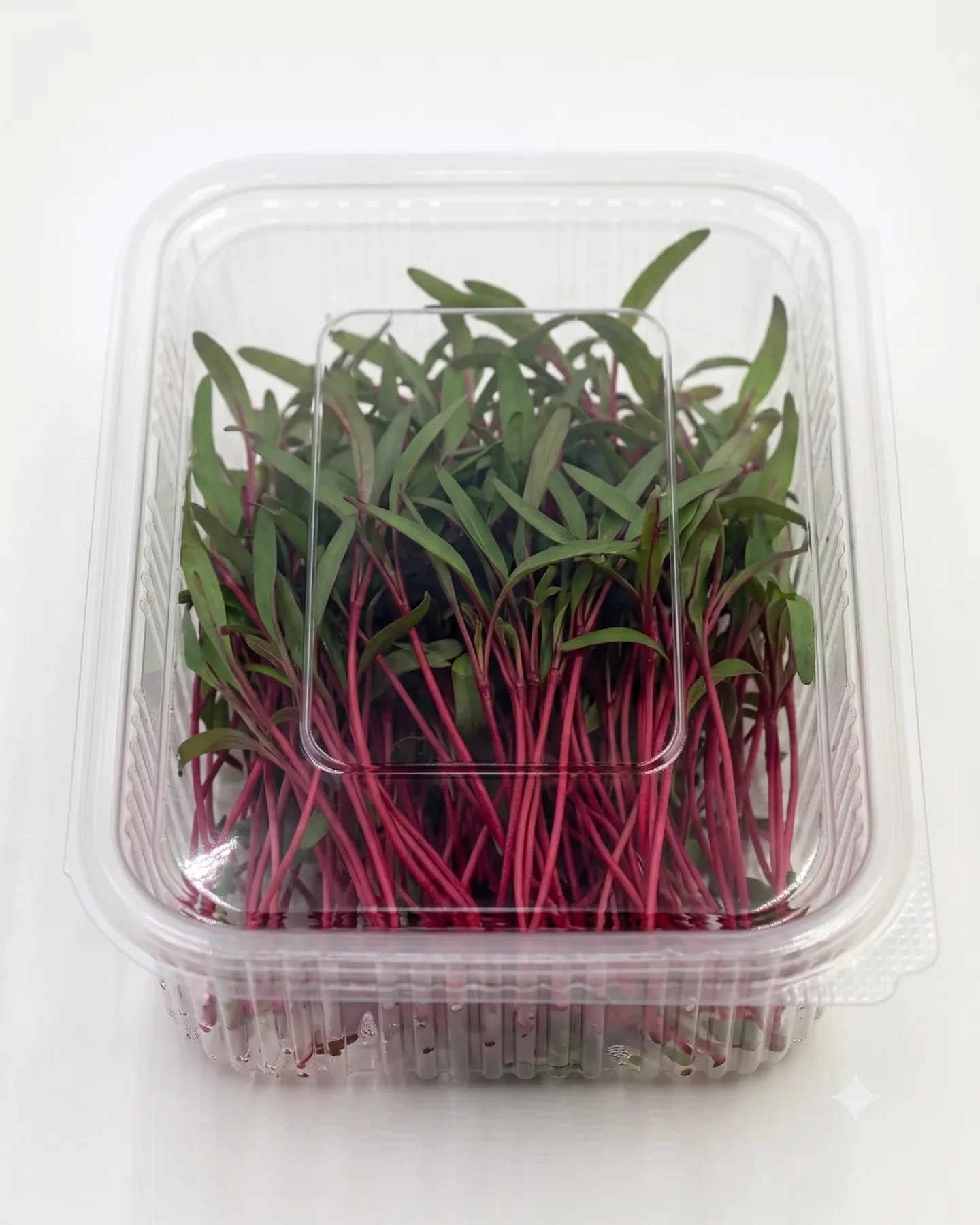 Beetroot Imported — view 1