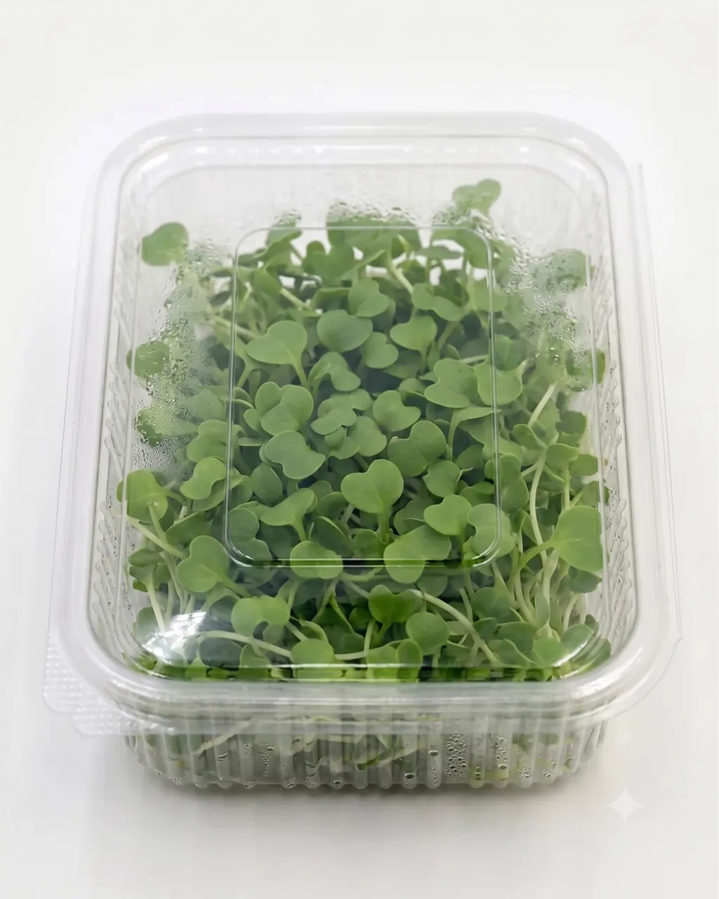 Pak Choi — 100g