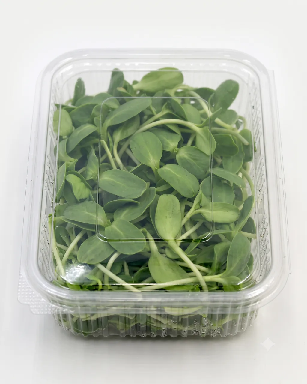 Sunflower — 100g